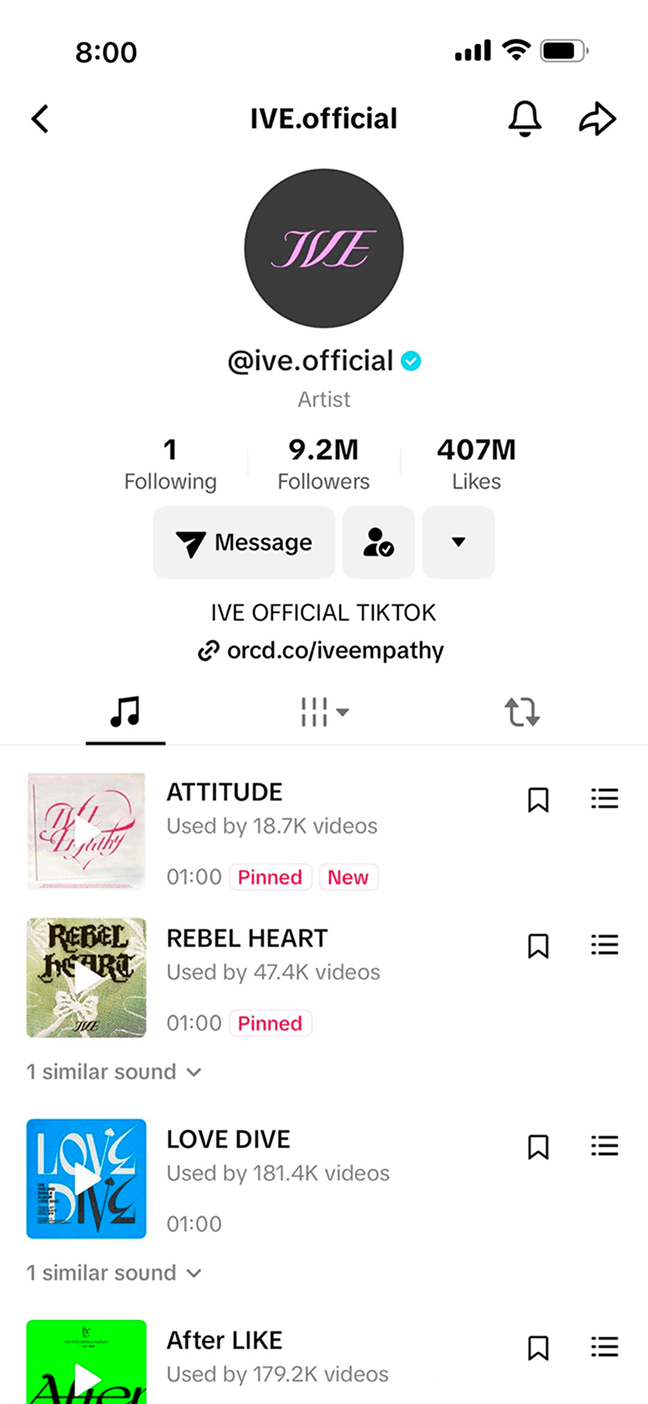 Tiktok For Artists